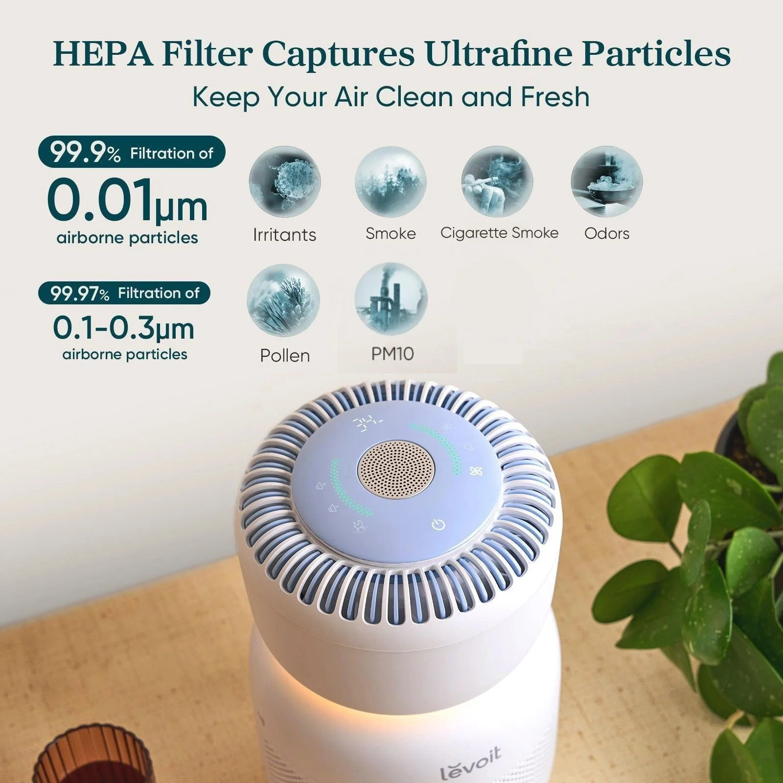 Levoit Sprout Air Purifier - Image 4